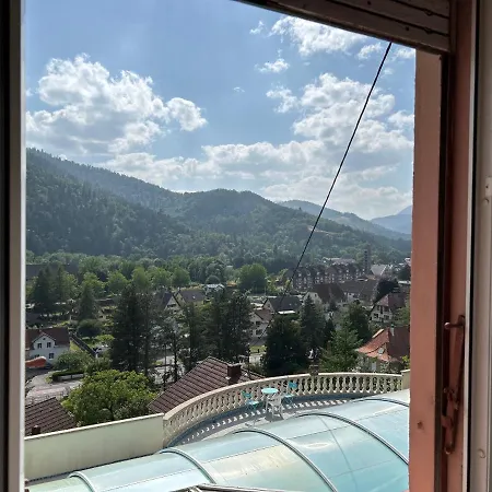 Alojamento de Acomodação e Pequeno-almoço Arnica Lit 140 Wifi Sdb Partagee Saint-Amarin